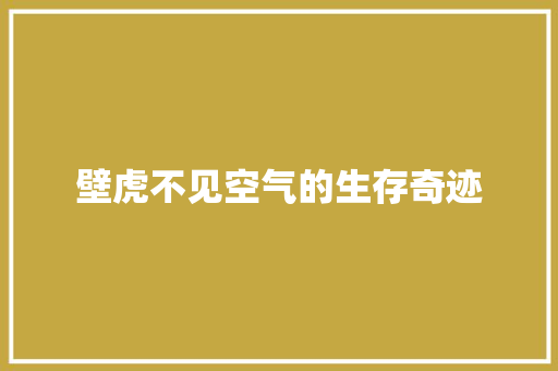 壁虎不见空气的生存奇迹 洁具维修