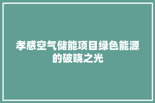 孝感空气储能项目绿色能源的破晓之光 家电维护