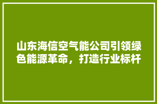 山东海信空气能公司引领绿色能源革命，打造行业标杆 局部翻新