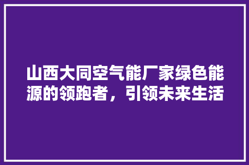 山西大同空气能厂家绿色能源的领跑者，引领未来生活新风尚 空调
