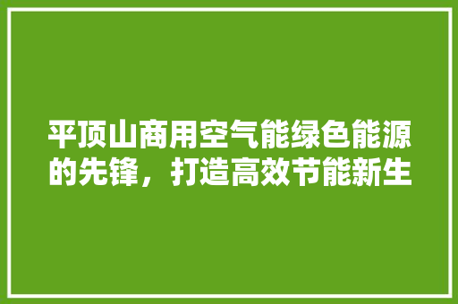 平顶山商用空气能绿色能源的先锋，打造高效节能新生态 空调