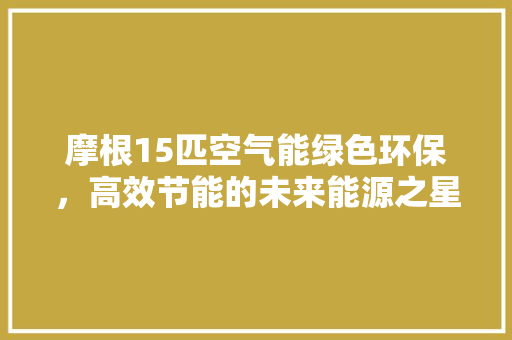 摩根15匹空气能绿色环保，高效节能的未来能源之星 热水器