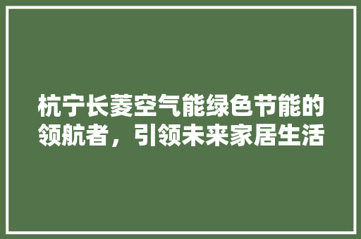 杭宁长菱空气能绿色节能的领航者，引领未来家居生活新风尚 清洁保养