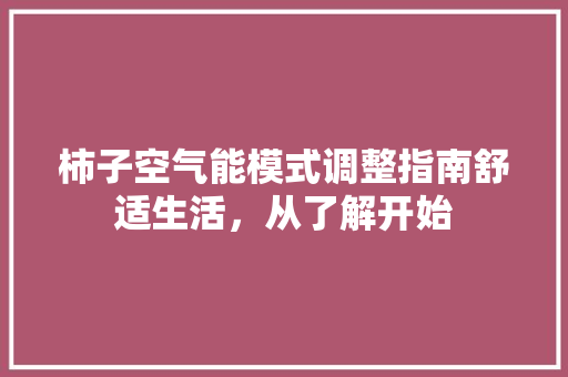 柿子空气能模式调整指南舒适生活，从了解开始 翻新改色