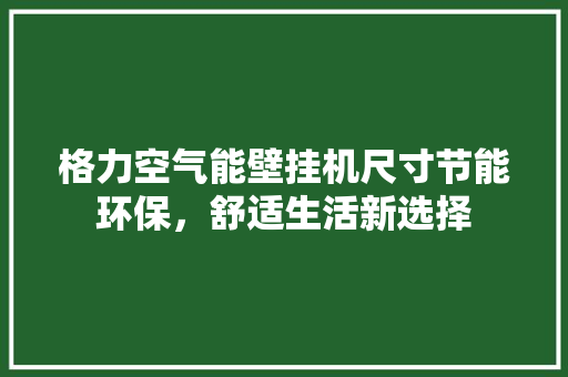 格力空气能壁挂机尺寸节能环保，舒适生活新选择 清洁保养