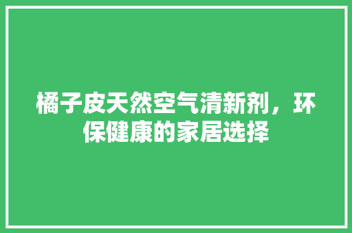 橘子皮天然空气清新剂，环保健康的家居选择 冰箱