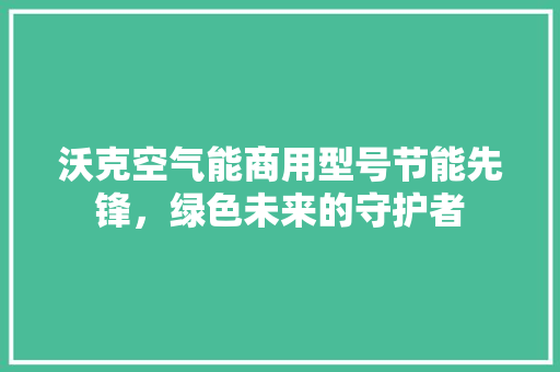 沃克空气能商用型号节能先锋，绿色未来的守护者 清洁保养