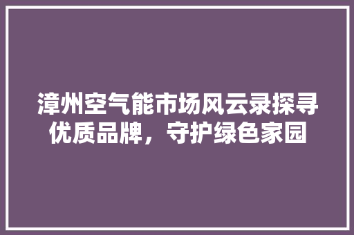 漳州空气能市场风云录探寻优质品牌，守护绿色家园 家居维修