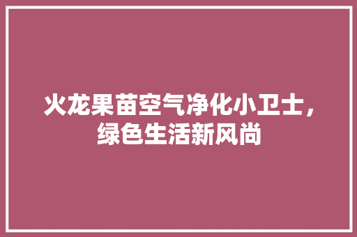 火龙果苗空气净化小卫士，绿色生活新风尚 空调