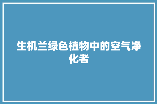 生机兰绿色植物中的空气净化者 清洁保养