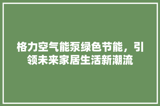 格力空气能泵绿色节能，引领未来家居生活新潮流 洗衣机