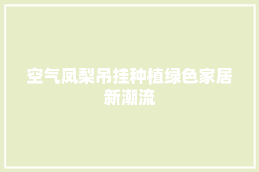 空气凤梨吊挂种植绿色家居新潮流 贴膜