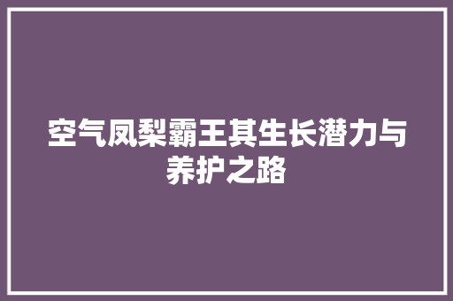 空气凤梨霸王其生长潜力与养护之路 旧房改造