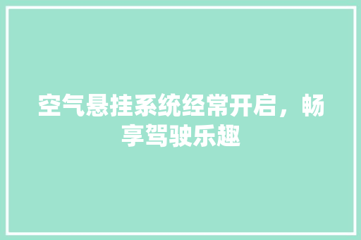 空气悬挂系统经常开启，畅享驾驶乐趣 龙头管件