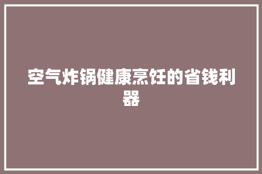 空气炸锅健康烹饪的省钱利器 家居维修