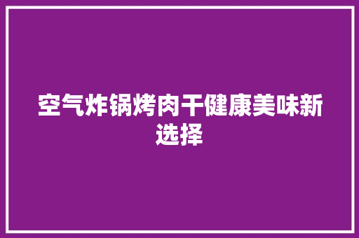 空气炸锅烤肉干健康美味新选择 洗衣机