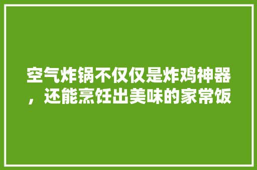 空气炸锅不仅仅是炸鸡神器，还能烹饪出美味的家常饭菜 局部翻新
