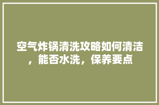 空气炸锅清洗攻略如何清洁，能否水洗，保养要点 热水器
