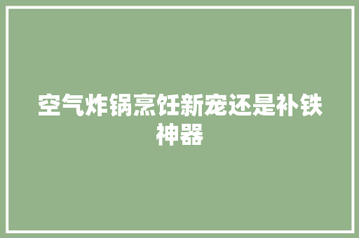 空气炸锅烹饪新宠还是补铁神器 家具修理