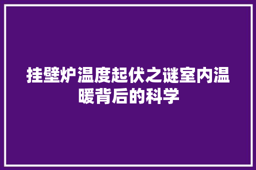 挂壁炉温度起伏之谜室内温暖背后的科学 水电维修