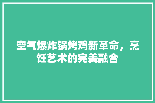 空气爆炸锅烤鸡新革命，烹饪艺术的完美融合 清洁保养