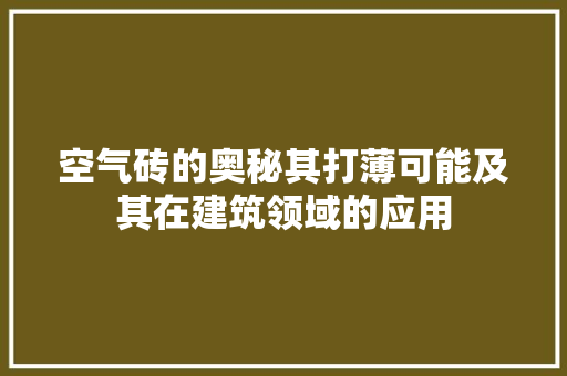 空气砖的奥秘其打薄可能及其在建筑领域的应用 旧房改造