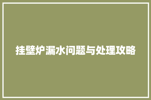 挂壁炉漏水问题与处理攻略 洗衣机