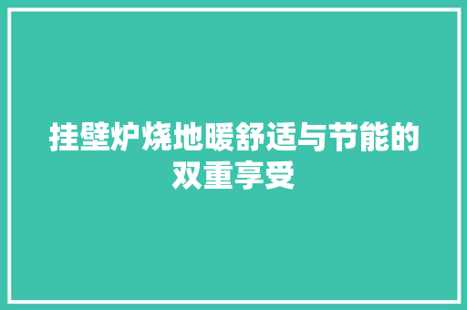 挂壁炉烧地暖舒适与节能的双重享受 局部翻新