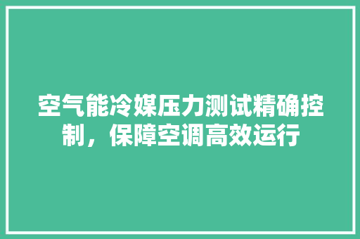 空气能冷媒压力测试精确控制，保障空调高效运行 清洁保养