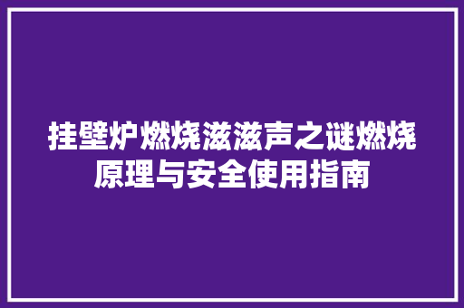 挂壁炉燃烧滋滋声之谜燃烧原理与安全使用指南 贴膜