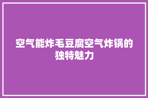 空气能炸毛豆腐空气炸锅的独特魅力 旧房改造
