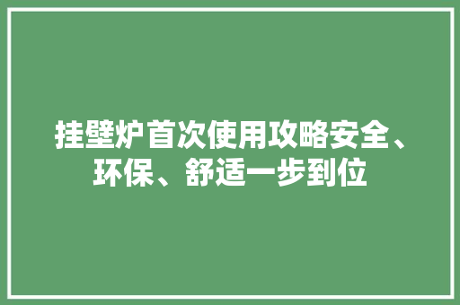 挂壁炉首次使用攻略安全、环保、舒适一步到位 冰箱