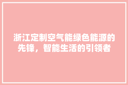 浙江定制空气能绿色能源的先锋，智能生活的引领者 空调