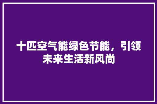 十匹空气能绿色节能，引领未来生活新风尚 贴膜