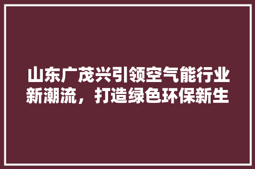 山东广茂兴引领空气能行业新潮流，打造绿色环保新生活 灯具安装