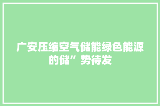 广安压缩空气储能绿色能源的储”势待发 热水器