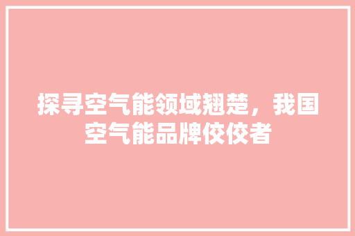 探寻空气能领域翘楚，我国空气能品牌佼佼者 家电维护