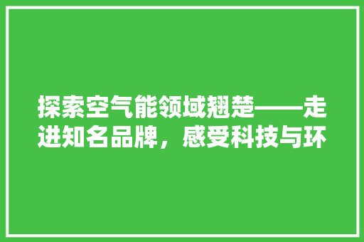 探索空气能领域翘楚——走进知名品牌，感受科技与环保的完美融合 旧房改造