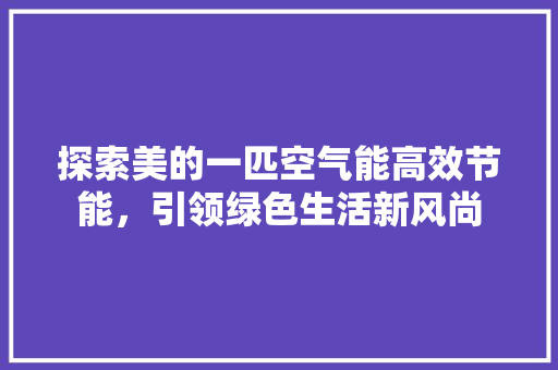 探索美的一匹空气能高效节能，引领绿色生活新风尚 旧房改造