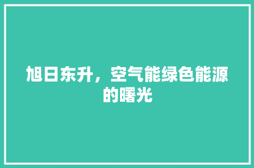 旭日东升，空气能绿色能源的曙光 热水器