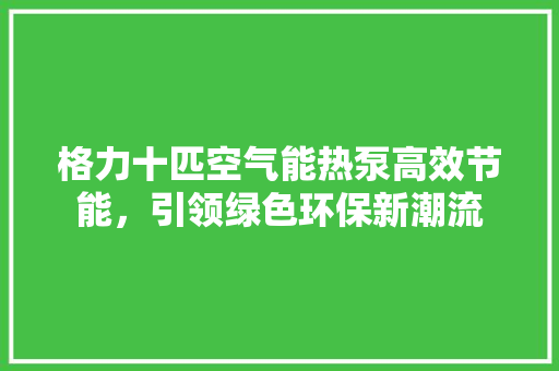 格力十匹空气能热泵高效节能，引领绿色环保新潮流 灯具安装