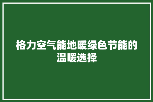 格力空气能地暖绿色节能的温暖选择 热水器