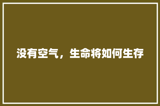 没有空气，生命将如何生存 旧房改造