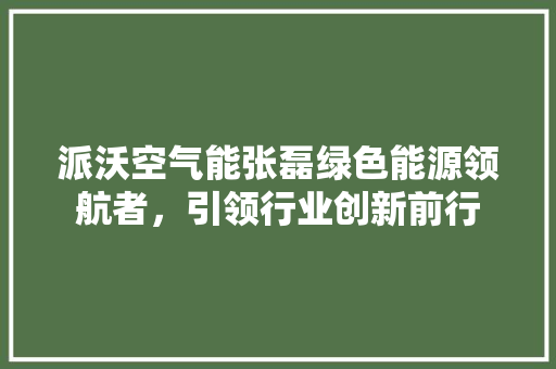 派沃空气能张磊绿色能源领航者，引领行业创新前行 贴膜