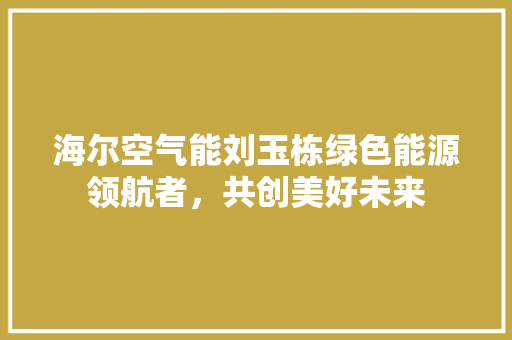 海尔空气能刘玉栋绿色能源领航者，共创美好未来 洗衣机