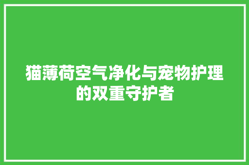 猫薄荷空气净化与宠物护理的双重守护者 冰箱