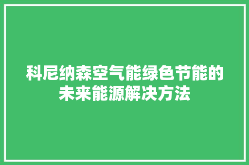 科尼纳森空气能绿色节能的未来能源解决方法 局部翻新