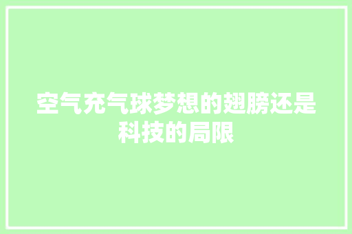 空气充气球梦想的翅膀还是科技的局限 旧房改造