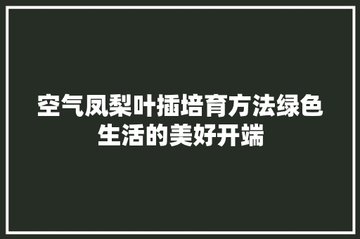 空气凤梨叶插培育方法绿色生活的美好开端 热水器
