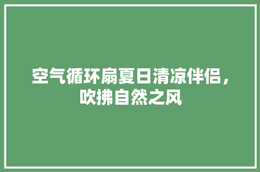 空气循环扇夏日清凉伴侣，吹拂自然之风 家具修理